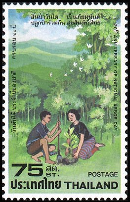 Planting trees