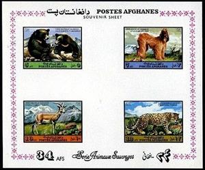 Souvenir Sheet, Asiatic Black Bear (Ursus thibetanus), Afghan Hound (Canis l, Afghanistan,  , Animals (Fauna)