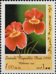 Stamp, Dendrobium stella hallmark, Cinderellas,  , Orchids