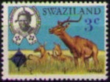 Impala (Aepyceros melampus)