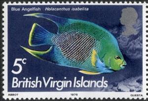 Stamp, Blue Angelfish (Holocanthus isabelita), British Virgin Islands,  