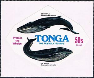 Stamp, Sei Whale (Balaenoptera borealis), Fin Whale (Balaenoptera p, Tonga,  , Sea (Marine) Mammals, Whales
