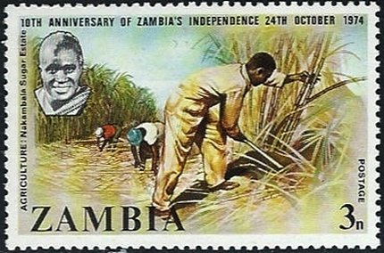 Agriculture: Nakambala Sugar Estate