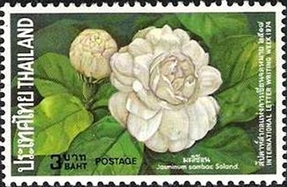 Stamp, Jasmine, Thailand,  , Plants (Flora)