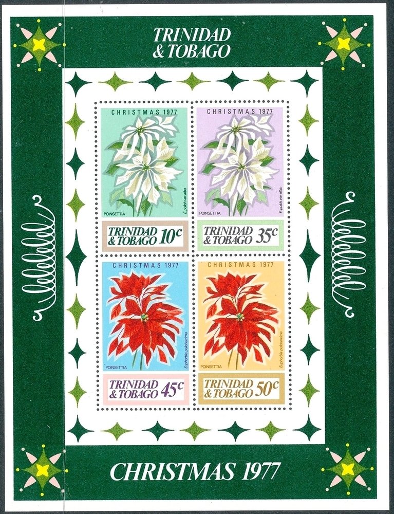 Euphorbia pulcherrima