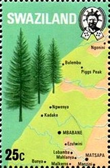 Evergreens