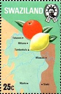 Stamp, Orange and lemon, Swaziland,  , Maps, Fruits