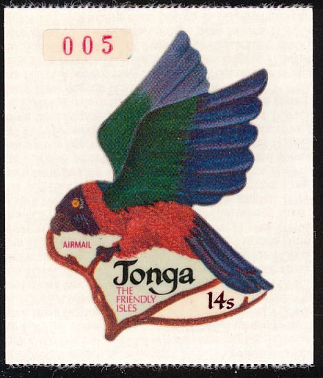 Maroon Shining-parrot (Prosopeia tabuensis)