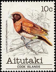 Stamp, Chestnut-breasted Mannikin (Lonchura castaneothorax), Aitutaki,  , Birds