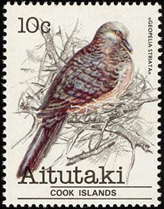 Stamp, Zebra Dove (Geopelia striata), Aitutaki,  , Birds