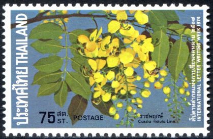 Stamp, Purging cassia, Thailand,  , Flowers