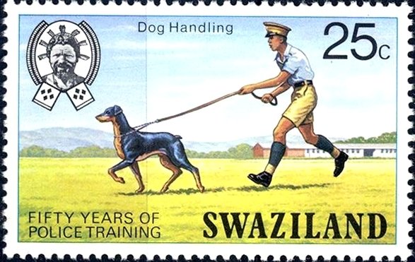 Dog handler