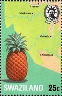 Pineapple