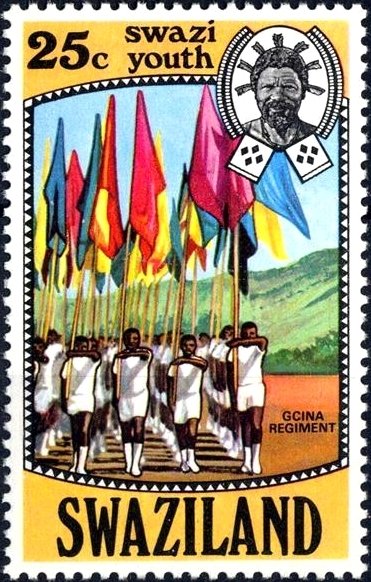 Gcina regiment marching with flags