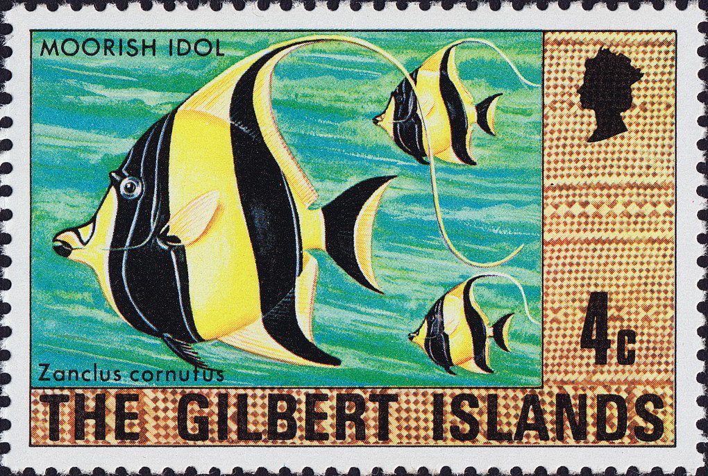Moorish Idol (Zanclus cornutus)