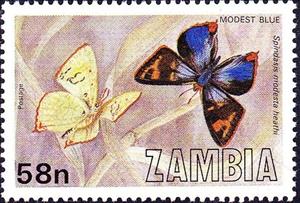 Stamp, Modest Bar (Spindasis modesta ssp. heathi), Zambia,  , Butterflies