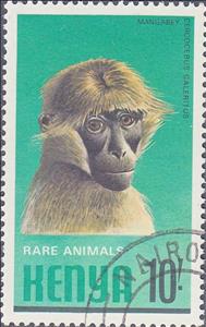Stamp, Agile Mangabey (Cercocebus galeritus), Kenya,  