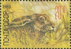 Stamp, European Hare (Leus europaeus), Soviet Union, USSR,  , Mammals, Hares, Animals (Fauna)