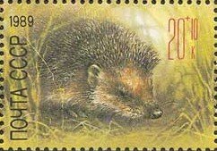 Stamp, European Hedgehog (Erinaceus europaeus), Soviet Union, USSR,  , Mammals, Hedgehogs, Animals (Fauna)