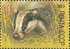 Stamp, European Badger (Meles meles), Soviet Union, USSR,  , Mammals, Animals (Fauna), Badgers