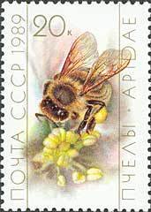 Stamp, Honey Bee (Apis mellifica), Soviet Union, USSR,  , Insects, Bees, Animals (Fauna)