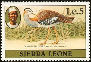 Stamp, Denham's Bustard (Neotis denhami), Sierra Leone,  , Birds, Animals (Fauna)