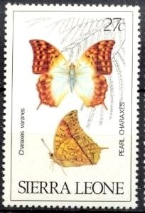 Stamp, Pearl Charaxes (Charaxes varanes), Sierra Leone,  , Butterflies