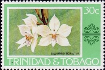 Stamp, Caularthron bicornutum, Trinidad and Tobago,  , Orchids