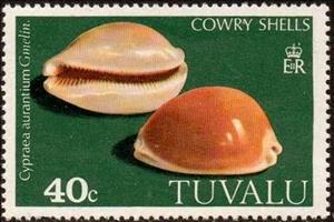 Stamp, Golden Cowry (Cypraea aurantium), Tuvalu,  , Shells