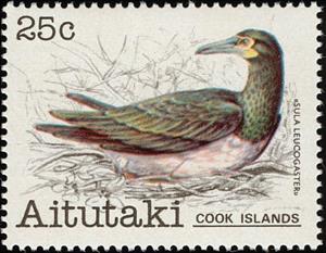 Stamp, Brown Booby (Sula leucogaster), Aitutaki,  , Birds