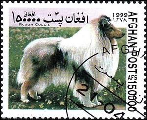 Stamp, Rough Collie (Canis lupus familiaris), Afghanistan,  , Mammals, Dogs, Animals (Fauna)