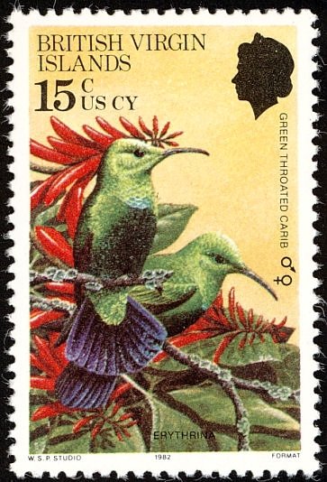 Green-throated Carib (Eulampis holosericeus)