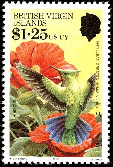 Antillean Crested Hummingbird (Orthorhyncus cristatus)