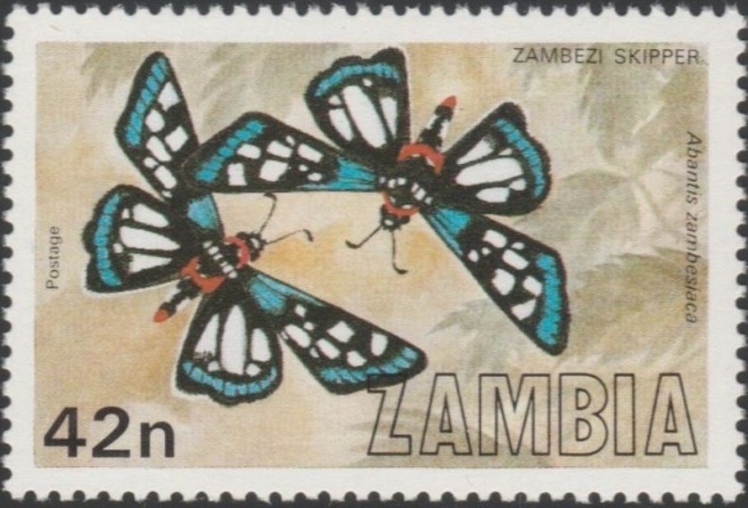 Zambezi Paradise Skipper (Abantis zambesiaca)