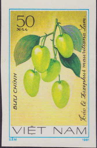 Jujube (ziziphus Mauritiana)