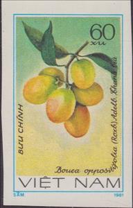 Stamp, Bouea Oppositifolia, Vietnam,  , Fruits