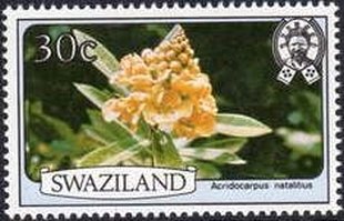 Stamp, Acridocarpus natalitius, Swaziland,  