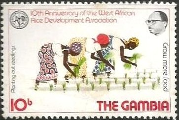 10TH Anniversary of West African Rice Development Associatio