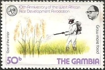 10TH Anniversary of West African Rice Development Associatio