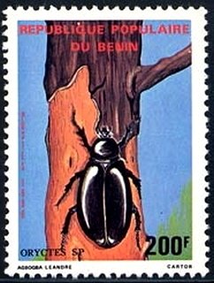 Stamp, Oryctes, Benin,  , Insects