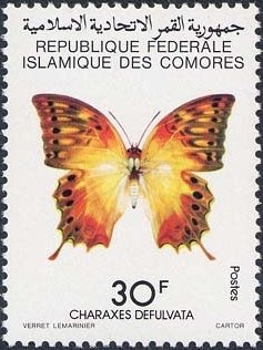 Stamp, Butterfly (Charaxes defulvata), Comoros,  , Butterflies