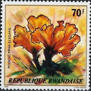 Stamp, Podoscypha Elegans, Rwanda,  , Mushrooms