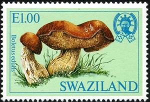 Stamp, Cep (Boletus edulis), Swaziland,  , Mushrooms