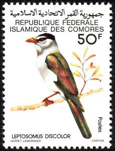 Stamp, Cuckoo Roller (Leptosomus descolor), Comoros,  , Birds