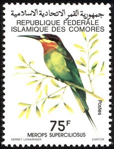 Stamp, Olive Bee-eater (Merops superciliosus), Comoros,  , Birds