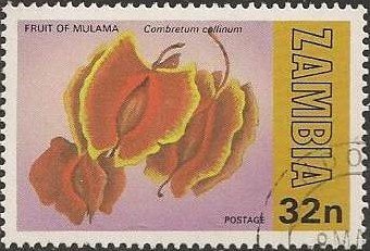 Mulama