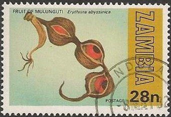 Mulunguti