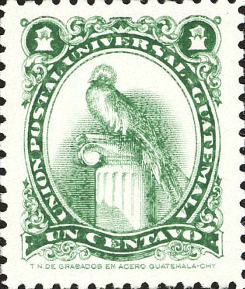Quetzal (Pharomachrus mocinno)