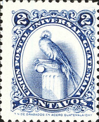 Quetzal (Pharomachrus mocinno)