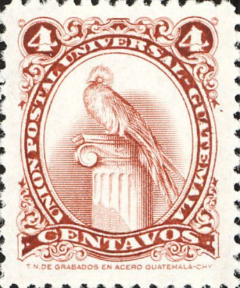 Quetzal (Pharomachrus mocinno)
